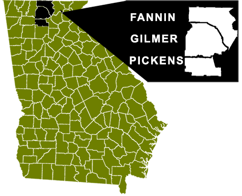 graphic of a map of the state of georgia showing location of Fannin, Pickens, and Gilmer Counties