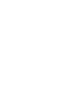 Appalachian Courts logo