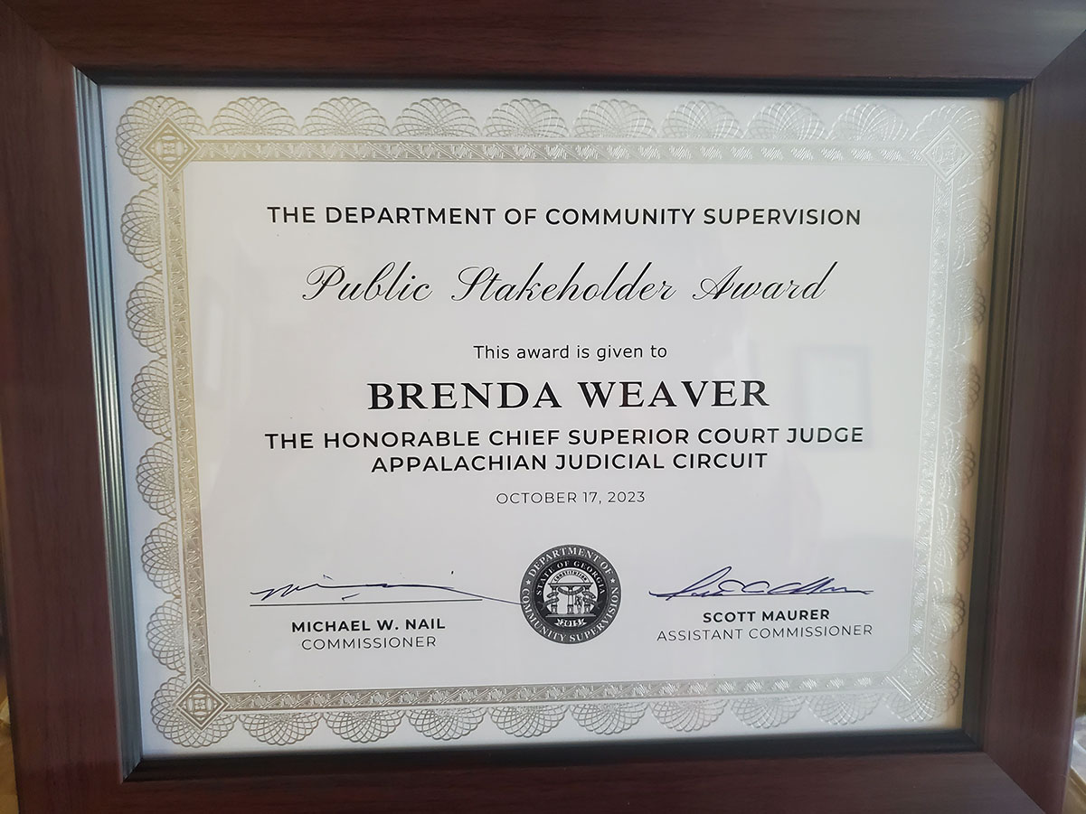 photo of framed Public Stakeholder Award.